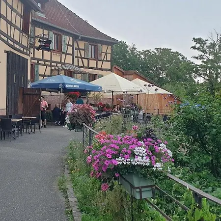 Dom wakacyjny La Maison Bleue A Bergheim