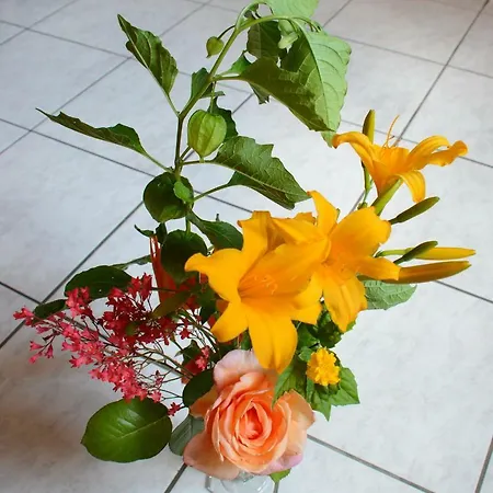 La Maison Bleue Nyaraló